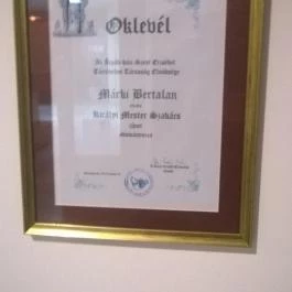 Hotel Bodrog Wellness étterme, Sárospatak - Belső