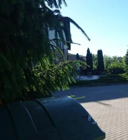 Hotel Hunor étterme