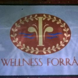 Duna Relax & Event Hotel, Ráckeve - Wellness