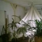 Duna Relax & Event Hotel Ráckeve - Belső