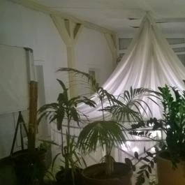 Duna Relax & Event Hotel, Ráckeve - Belső