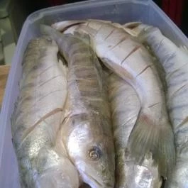 Keszegsütő, Miskolc - Étel/ital