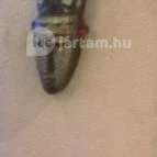 Kroko Bár Felsőtárkány - Egyéb