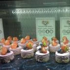 Shiraz Étterem & Dubai Kert Egerszalók - Étel/ital