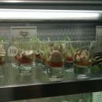 Shiraz Étterem & Dubai Kert Egerszalók - Étel/ital