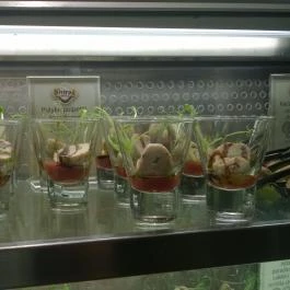 Shiraz Étterem & Dubai Kert Egerszalók - Étel/ital