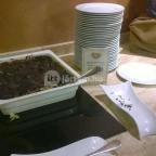 Shiraz Étterem & Dubai Kert Egerszalók - Étel/ital