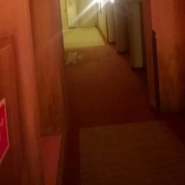 Mesés Shiraz Hotel Egerszalók - Belső