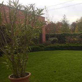 Mesés Shiraz Hotel Egerszalók - Medence/kert