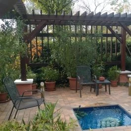 Mesés Shiraz Hotel Egerszalók - Medence/kert