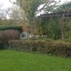 Mesés Shiraz Hotel Egerszalók - Környék