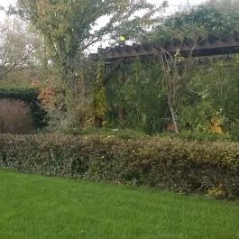 Mesés Shiraz Hotel Egerszalók - Környék