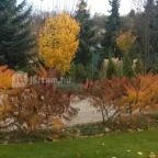 Mesés Shiraz Hotel Egerszalók - Medence/kert