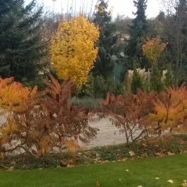 Mesés Shiraz Hotel Egerszalók - Medence/kert