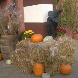 Mesés Shiraz Hotel Egerszalók - Medence/kert