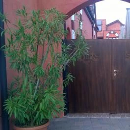 Mesés Shiraz Hotel Egerszalók - Külső kép