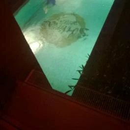 Mesés Shiraz Hotel Egerszalók - Medence/kert