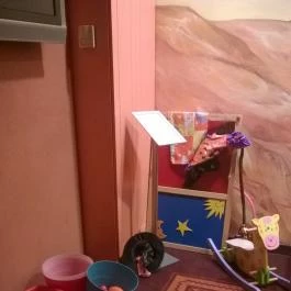 Mesés Shiraz Hotel Egerszalók - Szórakozás/Sport