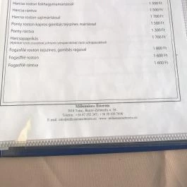 Millennium Étterem, Tokaj - Étlap/itallap