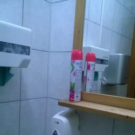 Nádas Csárda Tiszaújváros - Mosdó