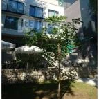 Portobello Wellness & Yacht Hotel Esztergom Esztergom - Külső kép