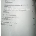 Rézpatkó Vendéglő Budapest - Étlap/itallap