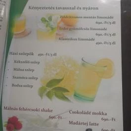 Rózsa Étterem, Mezőkövesd - Étlap/itallap