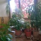 Rózsa Étterem Mezőkövesd - Étel/ital