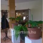 Rózsa Étterem Mezőkövesd - Egyéb