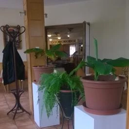 Rózsa Étterem, Mezőkövesd - Egyéb