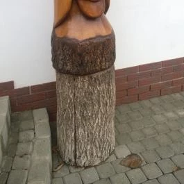 Rózsa Étterem, Mezőkövesd - Egyéb