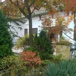 Rózsa Étterem, Mezőkövesd - Egyéb