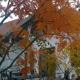 Rózsa Étterem, Mezőkövesd - Külső kép