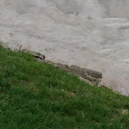 Hunguest Saliris, Egerszalók - Medence/kert