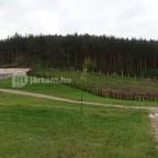 Hunguest Saliris Egerszalók - Környék