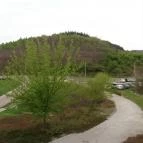 Hunguest Saliris Egerszalók - Medence/kert