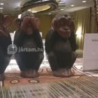 San Toro Étterem - Bambara Hotel Felsőtárkány - Belső