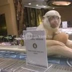 San Toro Étterem - Bambara Hotel Felsőtárkány - Belső