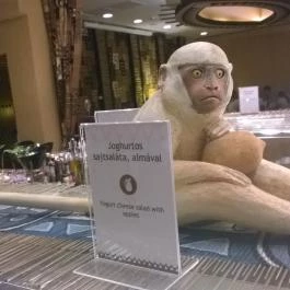 San Toro Étterem - Bambara Hotel Felsőtárkány - Belső