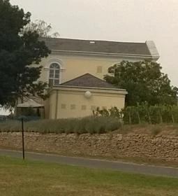 Sárga Borház Vendéglő