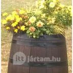 Sárga Borház Vendéglő Mezőzombor - Egyéb