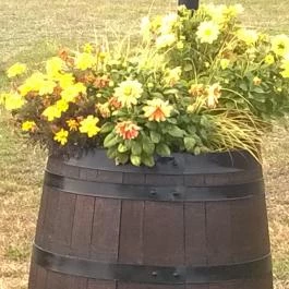 Sárga Borház Vendéglő, Mezőzombor - Egyéb