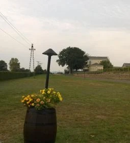 Sárga Borház Vendéglő