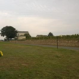 Sárga Borház Vendéglő, Mezőzombor - Külső kép