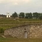 Sárga Borház Vendéglő Mezőzombor - Egyéb