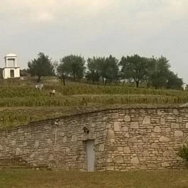 Sárga Borház Vendéglő, Mezőzombor - Egyéb