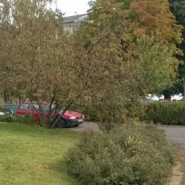 Sárga Borház Vendéglő, Mezőzombor - Egyéb