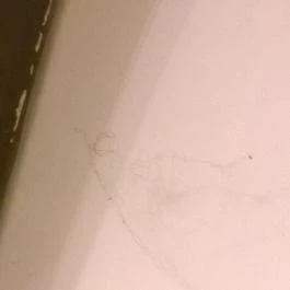 Sárga Borház Vendéglő, Mezőzombor - Egyéb