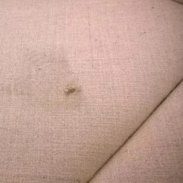 Sárga Borház Vendéglő, Mezőzombor - Egyéb