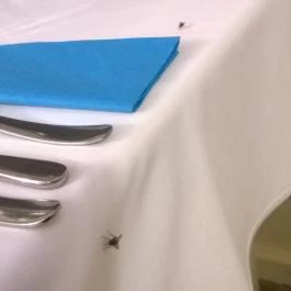 Sárga Borház Vendéglő, Mezőzombor - Egyéb